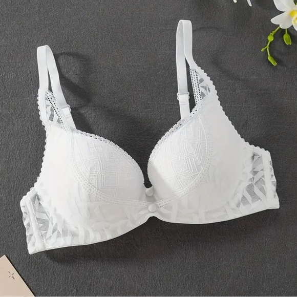 🌿 3 pcs Lace Push Up Bra, Sexy & Breathable Underwire Bra - Picture 3 of 16